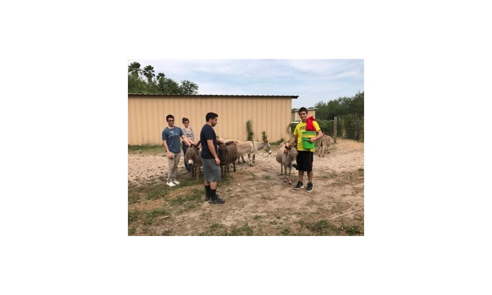 Photo 19