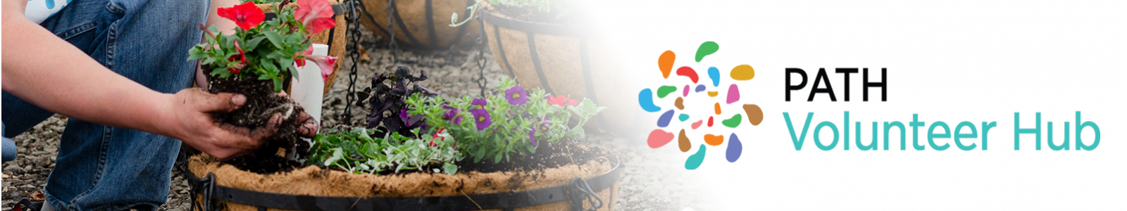 PATH Volunteer Hub Desktop Site Banner