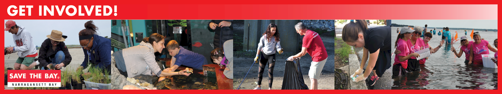 Save The Bay Desktop Site Banner