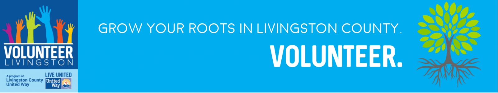 Volunteer Livingston, a Program of Livingston County United Way Desktop Site Banner