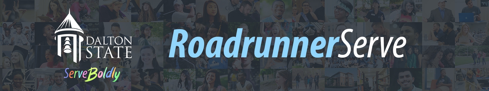 RoadrunnerServe Desktop Site Banner