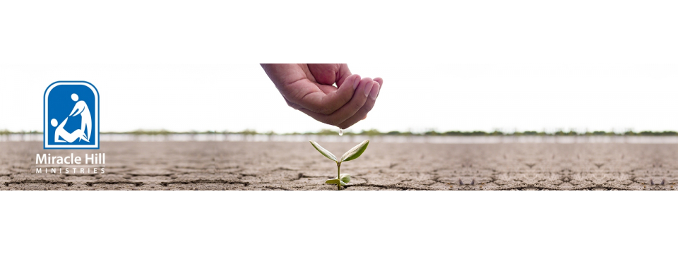 Miracle Hill Ministries Mobile Site Banner