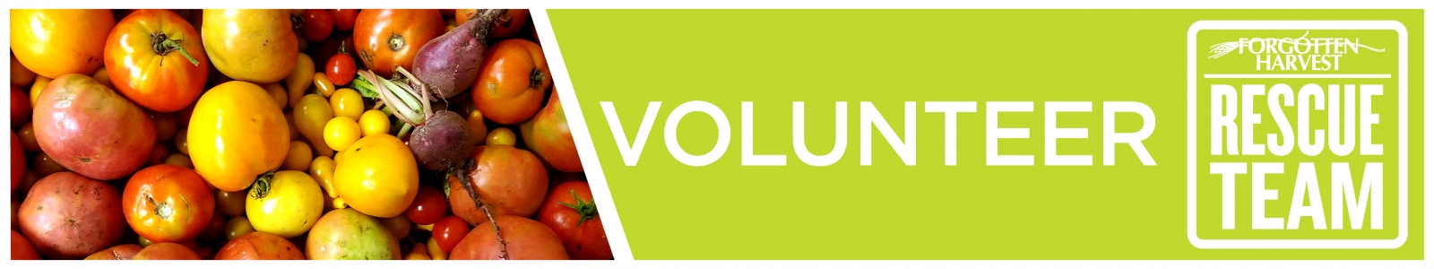 Forgotten Harvest Desktop Site Banner