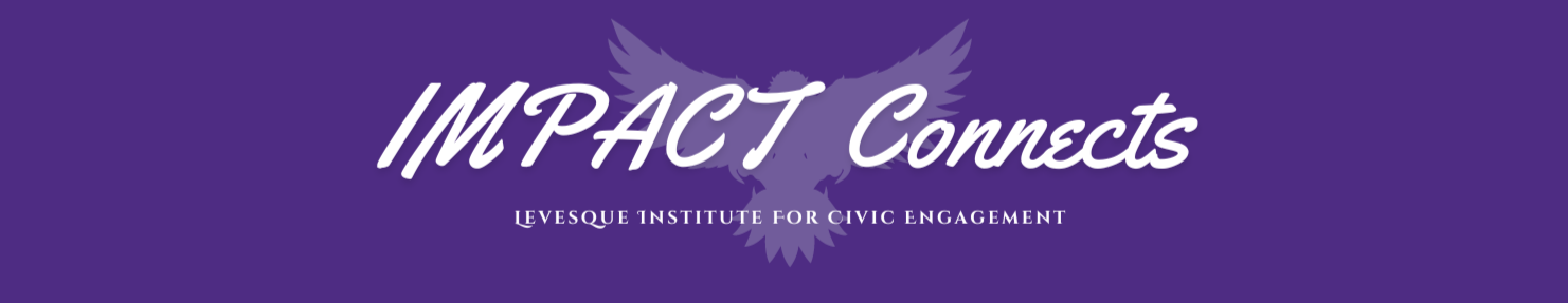 Niagara University Desktop Site Banner