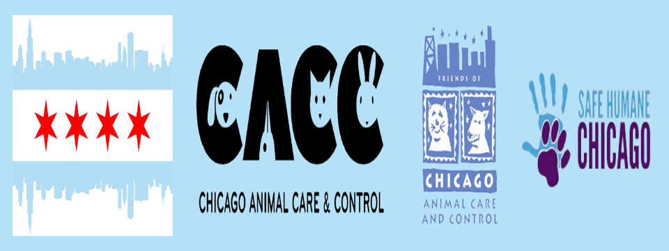 Chicago Animal Care & Control / FCACC / SHC Mobile Site Banner