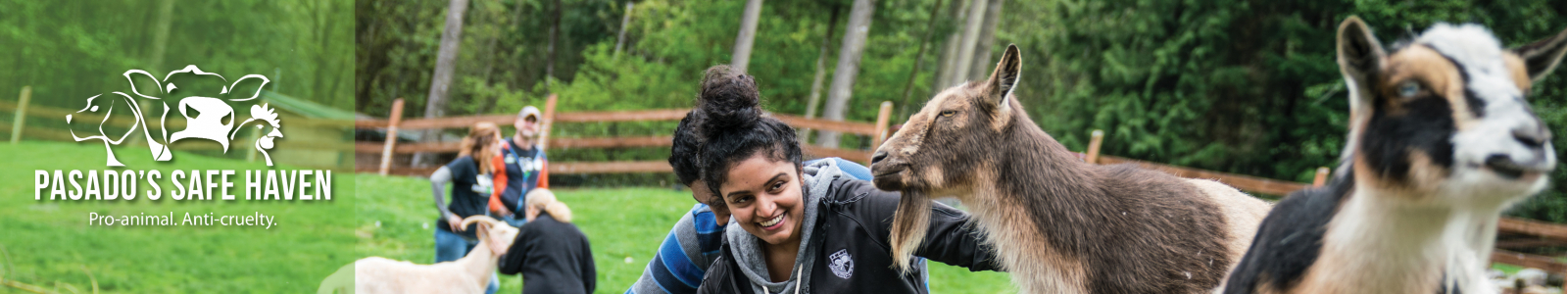 Pasado's Safe Haven Desktop Site Banner