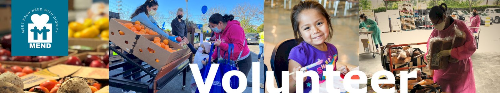 MEND Desktop Site Banner