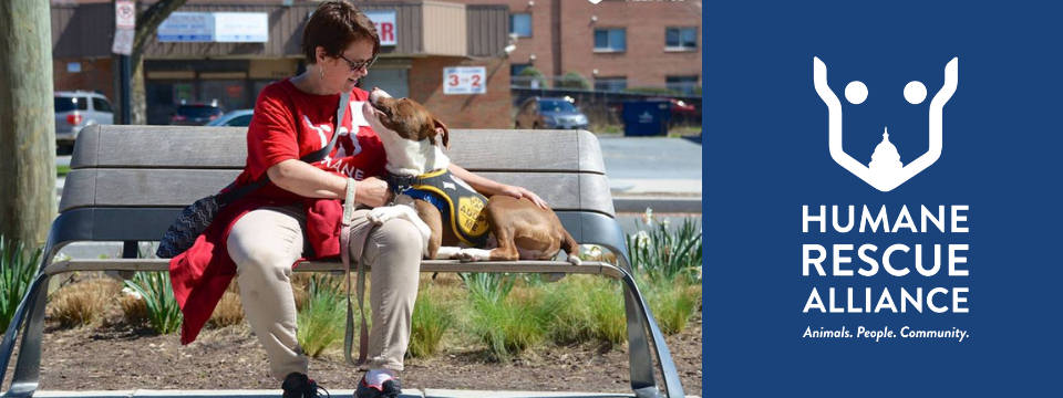Humane Rescue Alliance Mobile Site Banner