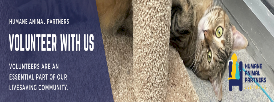 Humane Animal Partners Mobile Site Banner