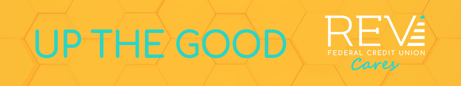 REV Cares Desktop Site Banner