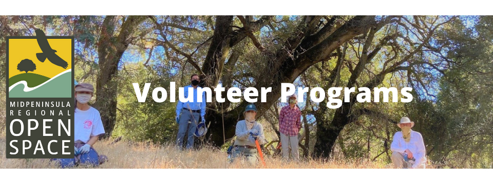 Midpeninsula Regional Open Space District Mobile Site Banner