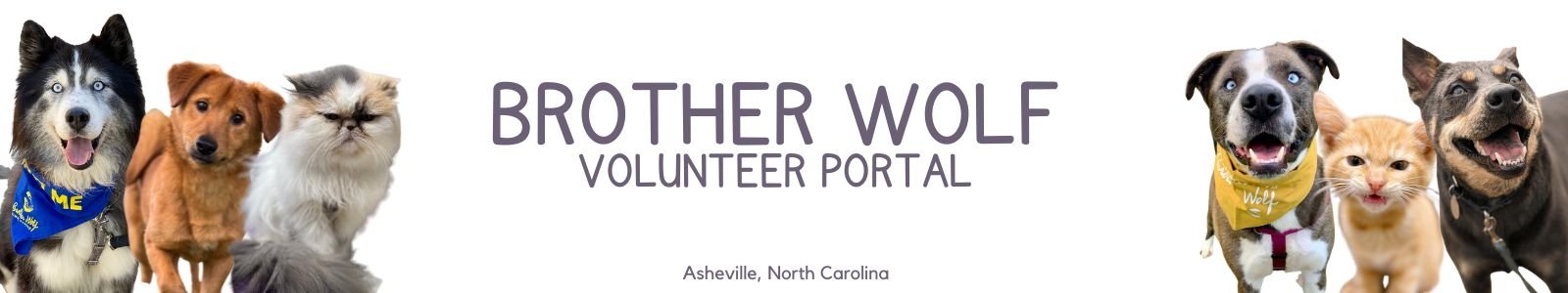 Brother Wolf Volunteer 