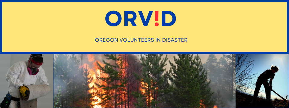Oregon Volunteers in Disaster picture of young man rolling up carpet from flooding picture of Oregon wildfire picture of girl using hatchet
