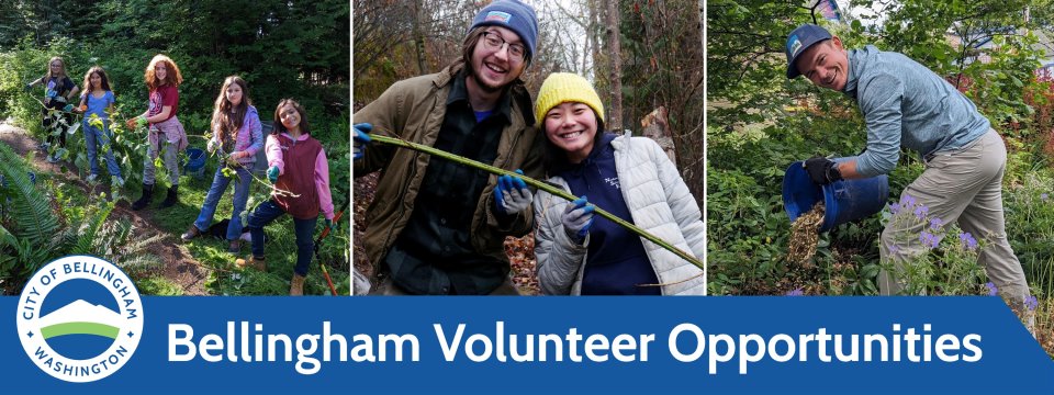 Bellingham Volunteer Opportunities Mobile Site Banner