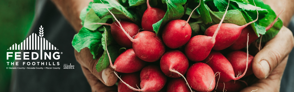 Feeding the Foothills Mobile Site Banner