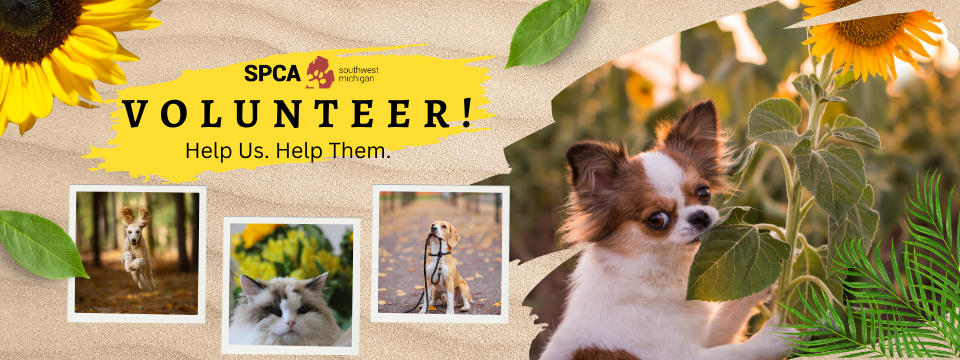 SPCA of Southwest Michigan Mobile Site Banner