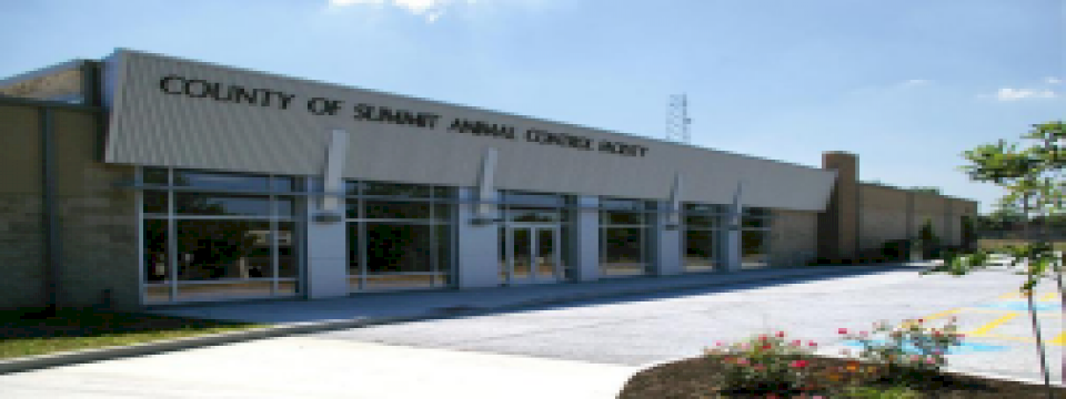 Summit County Volunteer Program Mobile Site Banner