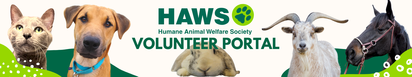 HAWS Desktop Site Banner