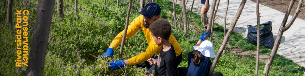 Riverside Park Conservancy Desktop Site Banner