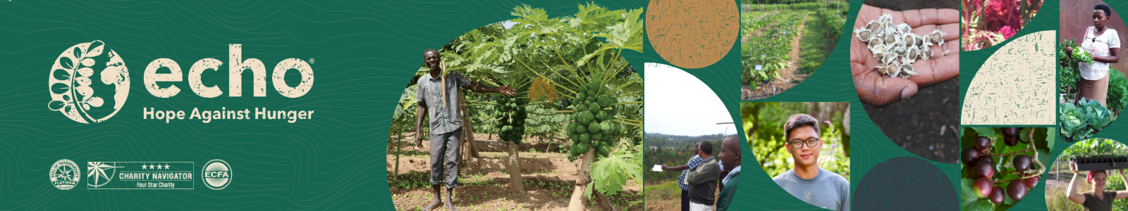 Click here to go back to home page