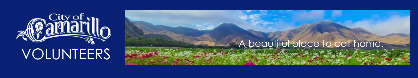 Camarillo volunteers, image of flowers and mountain