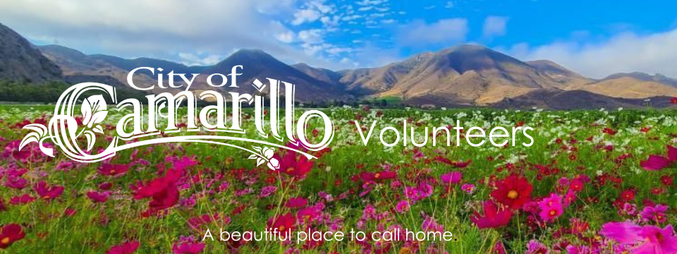 Camarillo volunteers, image of flowers and mountain