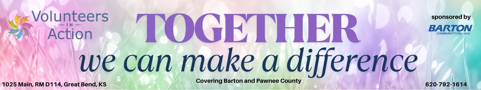 Volunteers In Action Desktop Site Banner