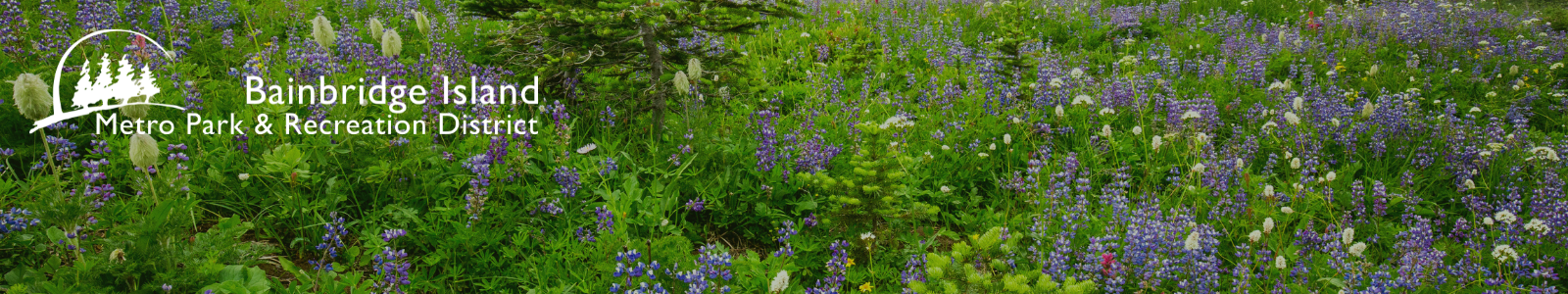 Bainbridge Island Metro Park & Recreation District