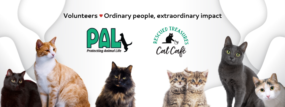 PALNV Mobile Site Banner