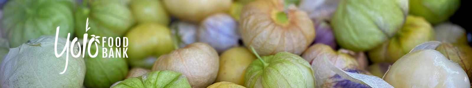 Yolo Food Bank Desktop Site Banner