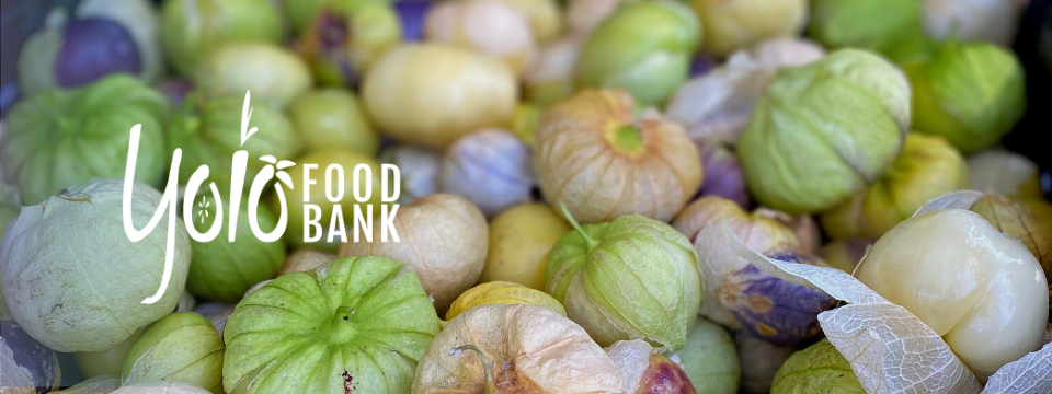 Yolo Food Bank Mobile Site Banner