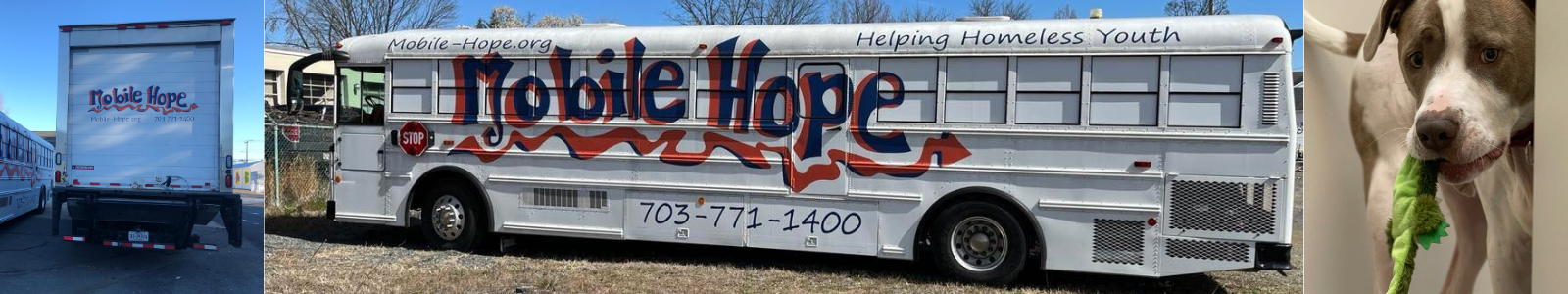 Mobile Hope Desktop Site Banner