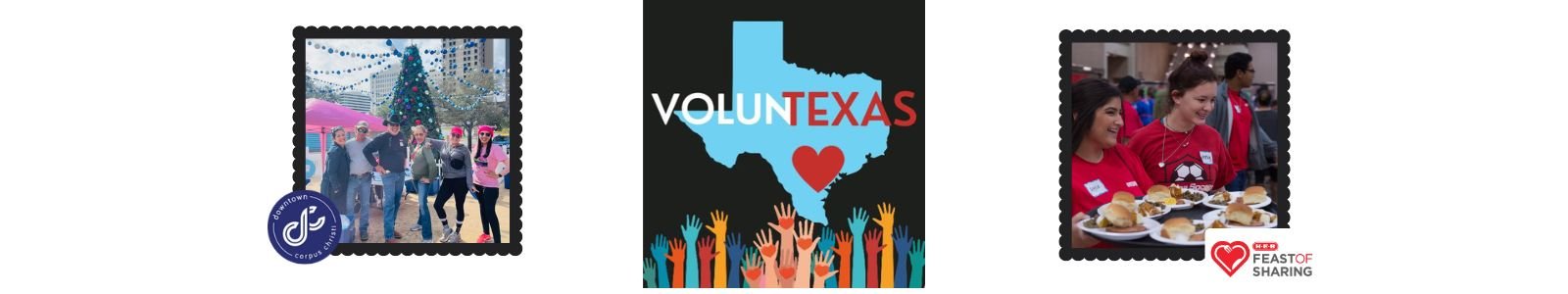 Voluntexas Desktop Site Banner