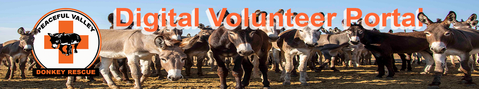 Peaceful Valley Donkey Rescue, Inc. Desktop Site Banner