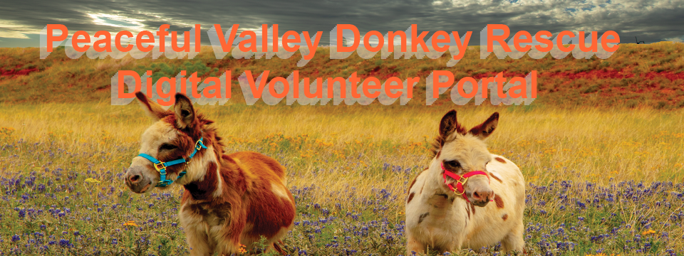 Peaceful Valley Donkey Rescue, Inc. Mobile Site Banner