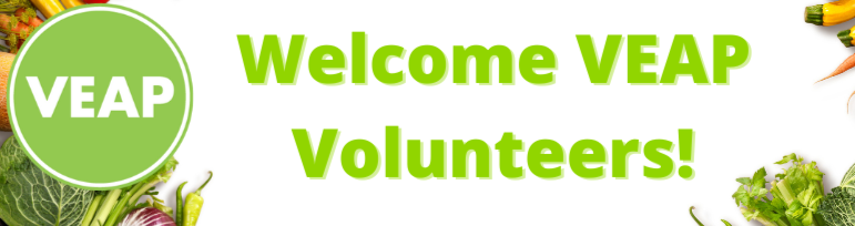 VEAP Desktop Site Banner