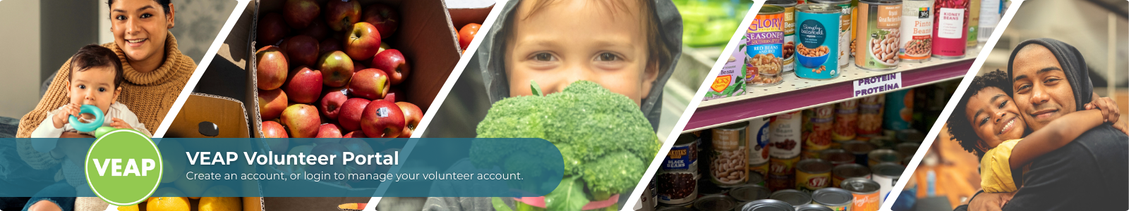 VEAP Desktop Site Banner