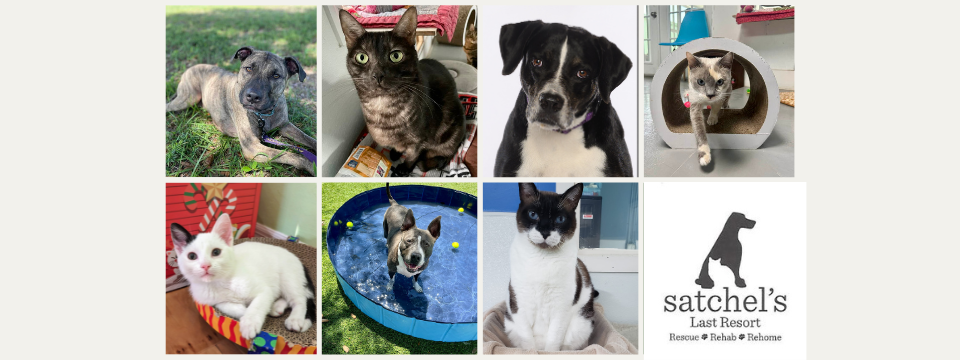 Satchel's Last Resort Mobile Site Banner