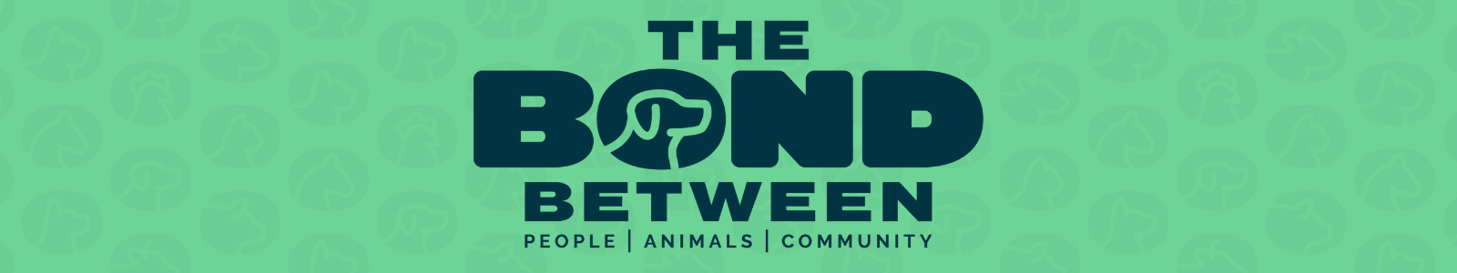 Secondhand Hounds is Becoming The Bond Between