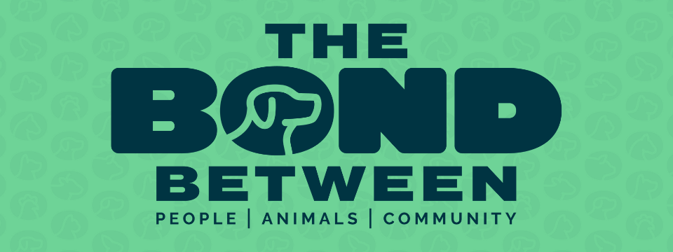 Secondhand Hounds is Becoming The Bond Between