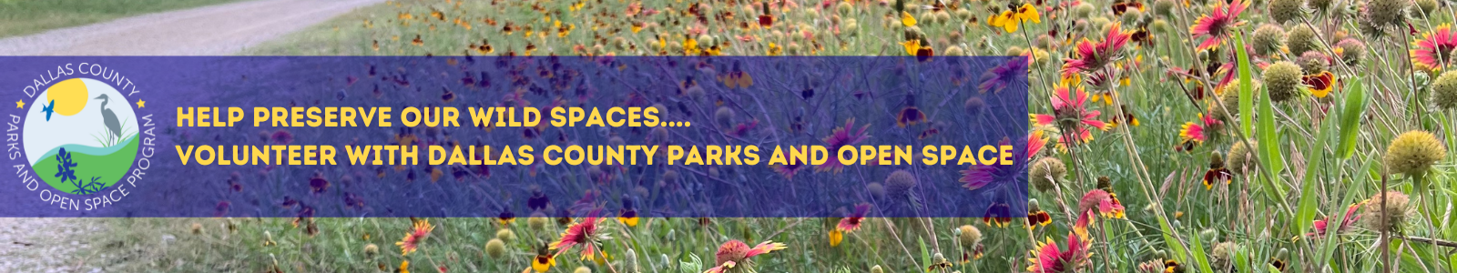 Dallas County Desktop Site Banner