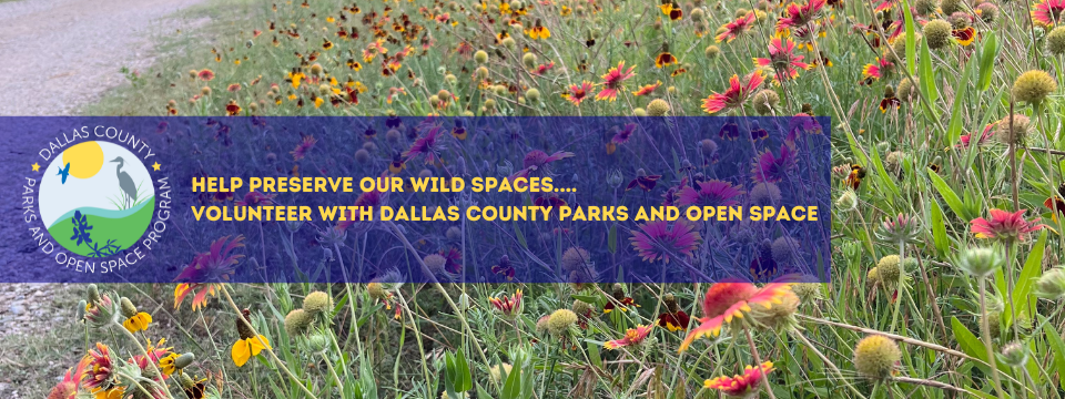 Dallas County Mobile Site Banner