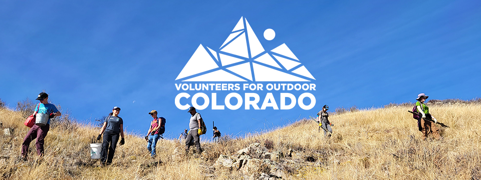 Volunteers holding tools walking across a golden field and blue sky.