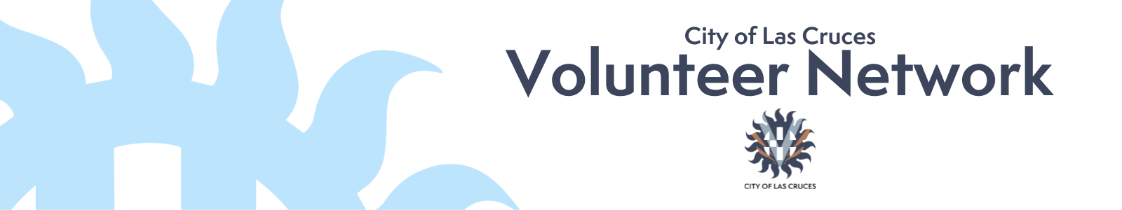 Volunteer Network title with logo