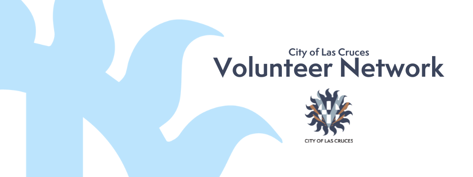 Volunteer Network title with logo