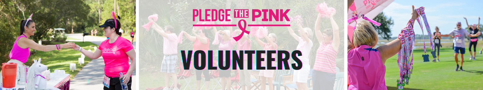 Pledge the Pink Desktop Site Banner