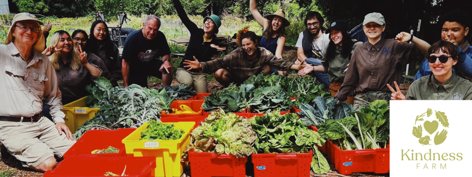 Kindness Farm Mobile Site Banner