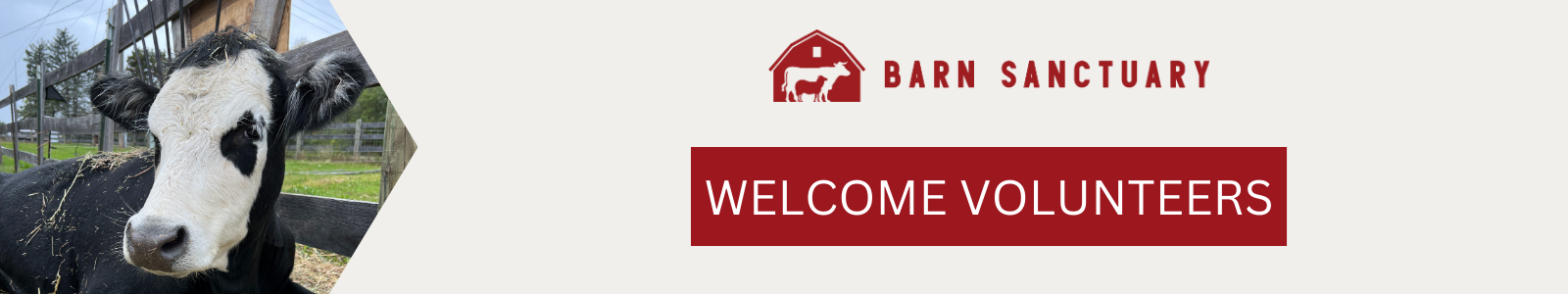 Barn Sanctuary Desktop Site Banner