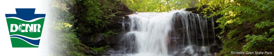 Become a Conservation Volunteer in State Parks and Forests