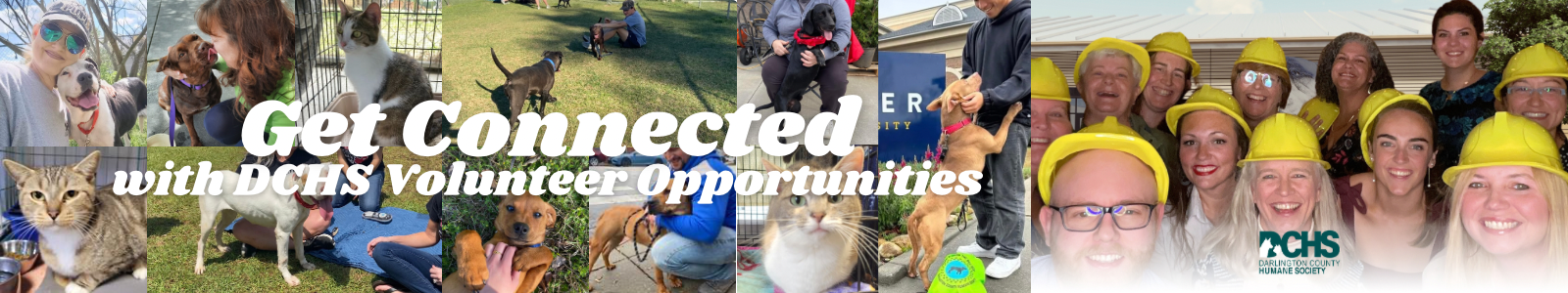 Darlington County Humane Society Desktop Site Banner